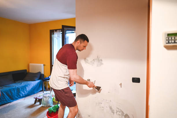 Best Industrial Mold Remediation in Green Level, NC