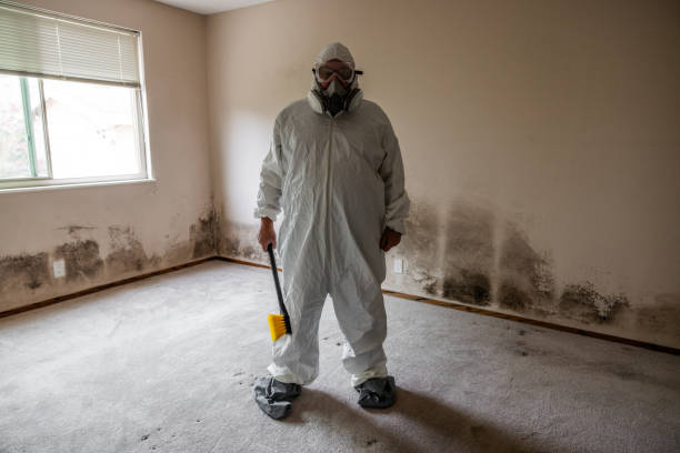 Mold Remediation for Specific Building Types